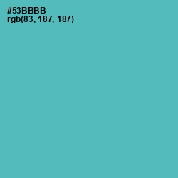 #53BBBB - Fountain Blue Color Image