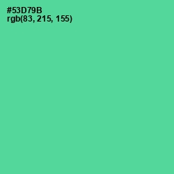 #53D79B - De York Color Image
