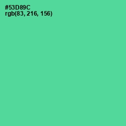 #53D89C - De York Color Image