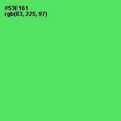 #53E161 - Emerald Color Image