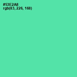 #53E2A8 - De York Color Image