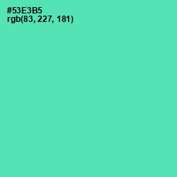 #53E3B5 - De York Color Image