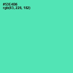 #53E4B6 - De York Color Image