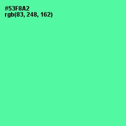 #53F8A2 - De York Color Image