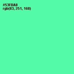 #53FBA8 - De York Color Image