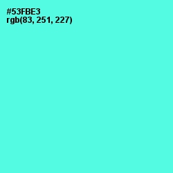 #53FBE3 - Turquoise Blue Color Image