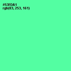 #53FDA1 - De York Color Image