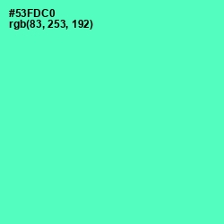 #53FDC0 - Aquamarine Color Image