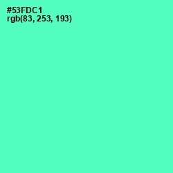 #53FDC1 - Aquamarine Color Image