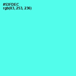 #53FDEC - Turquoise Blue Color Image