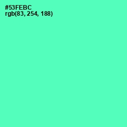 #53FEBC - De York Color Image
