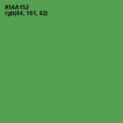 #54A152 - Fruit Salad Color Image
