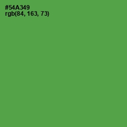 #54A349 - Fruit Salad Color Image
