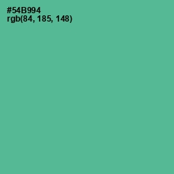 #54B994 - Breaker Bay Color Image