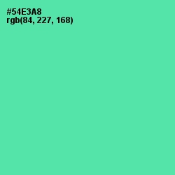 #54E3A8 - De York Color Image