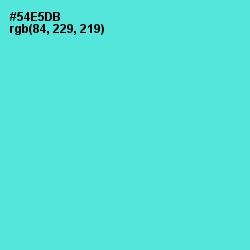 #54E5DB - Turquoise Blue Color Image