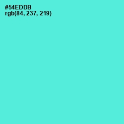 #54EDDB - Turquoise Blue Color Image