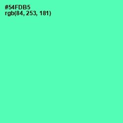 #54FDB5 - De York Color Image