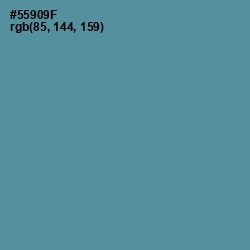 #55909F - Smalt Blue Color Image