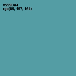 #559DA4 - Hippie Blue Color Image