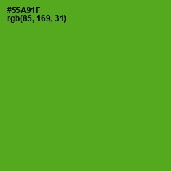 #55A91F - Christi Color Image