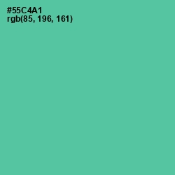 #55C4A1 - De York Color Image