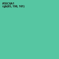 #55C6A1 - De York Color Image