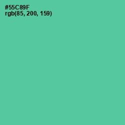 #55C89F - De York Color Image