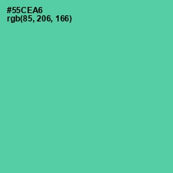 #55CEA6 - De York Color Image