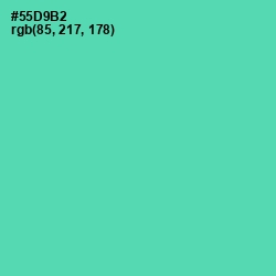 #55D9B2 - De York Color Image