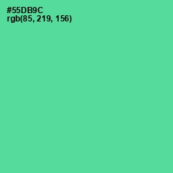 #55DB9C - De York Color Image