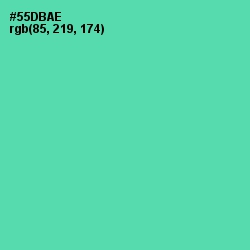 #55DBAE - De York Color Image
