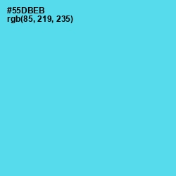 #55DBEB - Turquoise Blue Color Image