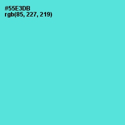 #55E3DB - Viking Color Image