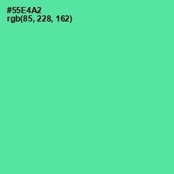 #55E4A2 - De York Color Image