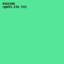 #55E699 - De York Color Image