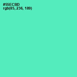 #55ECBD - De York Color Image