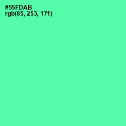 #55FDAB - De York Color Image