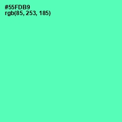 #55FDB9 - De York Color Image