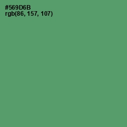 #569D6B - Spring Leaves Color Image