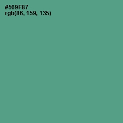 #569F87 - Smalt Blue Color Image