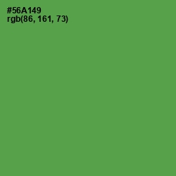 #56A149 - Fruit Salad Color Image