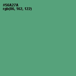 #56A27A - Aqua Forest Color Image