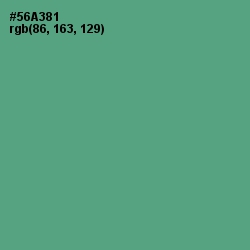 #56A381 - Breaker Bay Color Image
