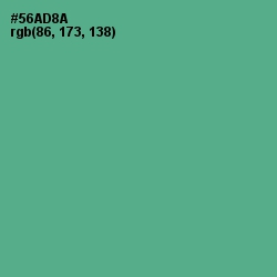 #56AD8A - Breaker Bay Color Image