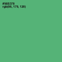 #56B378 - Aqua Forest Color Image
