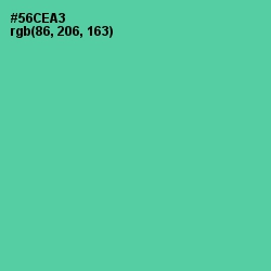 #56CEA3 - De York Color Image