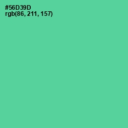 #56D39D - De York Color Image