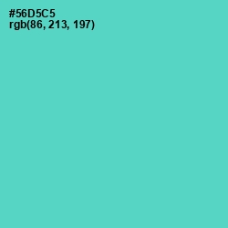 #56D5C5 - Downy Color Image