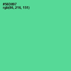 #56D897 - De York Color Image